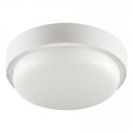 Светодиодный светильник WOLTA LCL04-12W-R01-4K 12Вт 4000К IP65